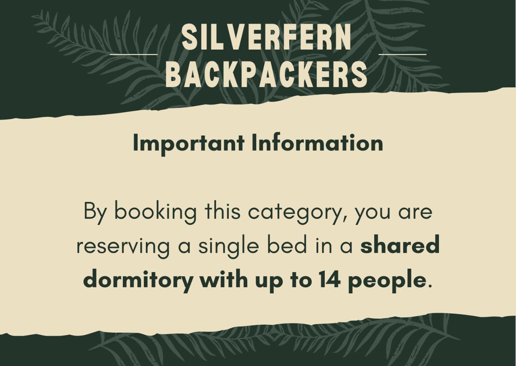 Silverfern Backpackers Окленд Номер фото